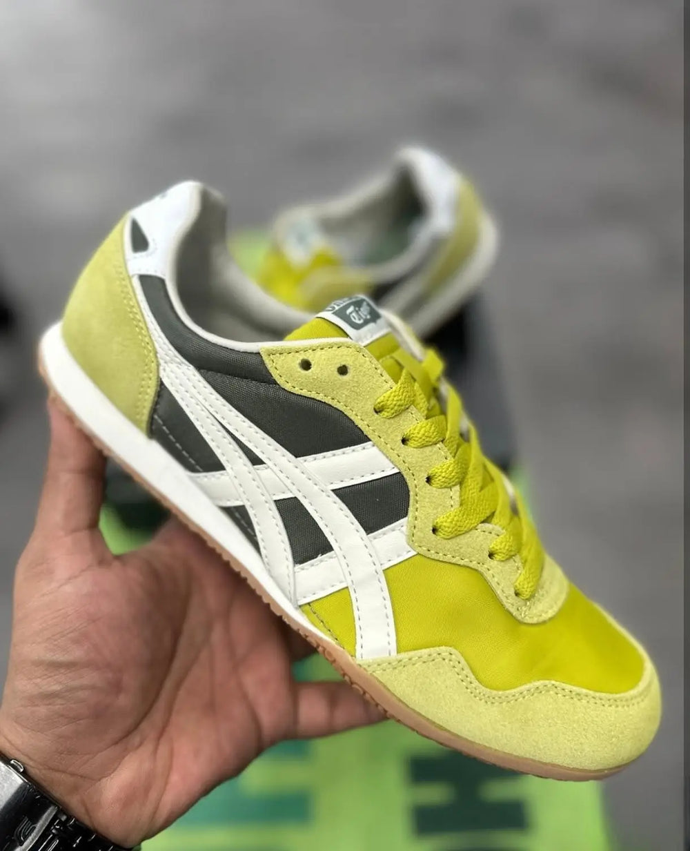 Onitsuk_a Tiger Serrano Kelp Birch 7A Premium Mens Sneakers D-2076