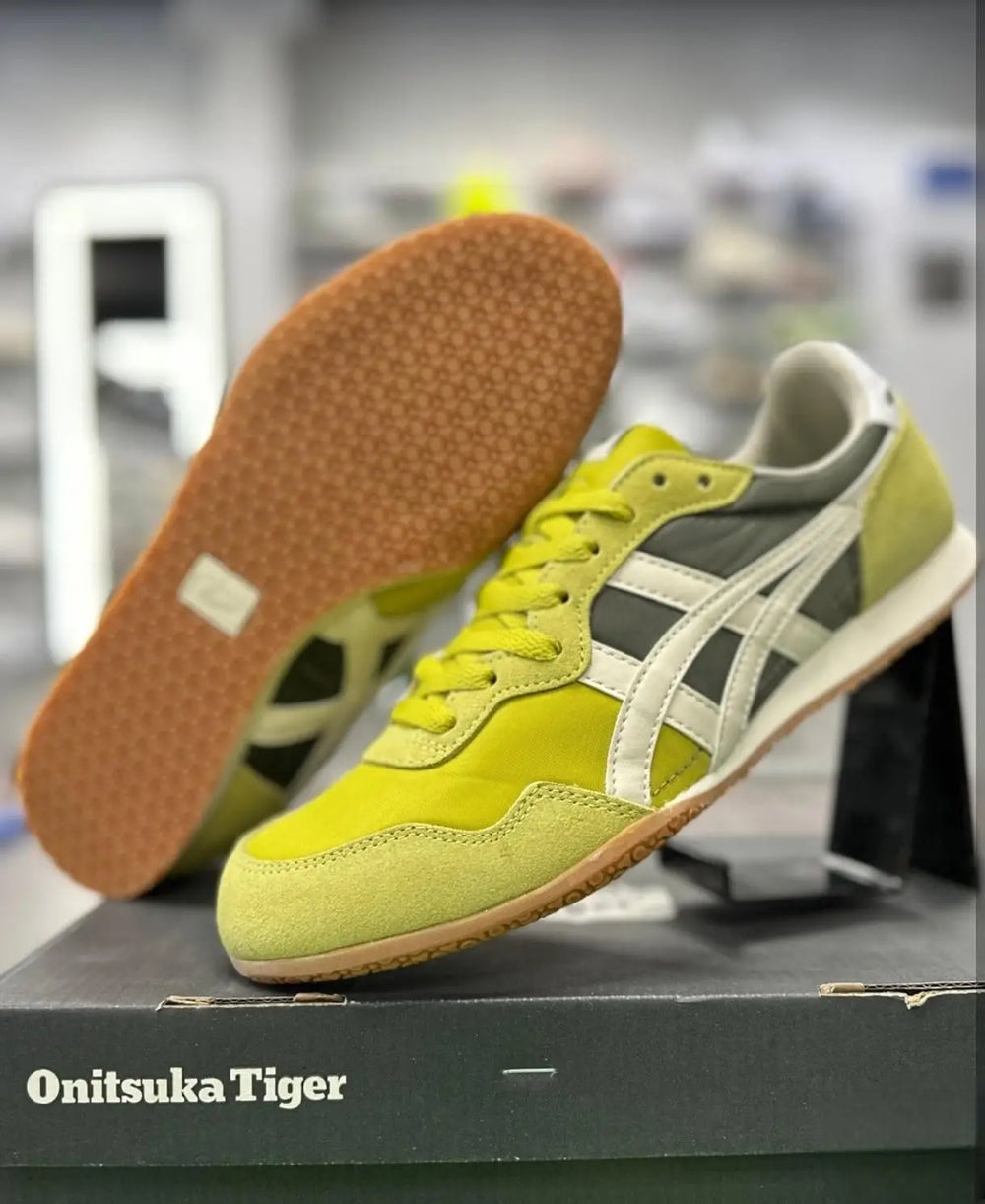 Onitsuk_a Tiger Serrano Kelp Birch 7A Premium Mens Sneakers D-2076