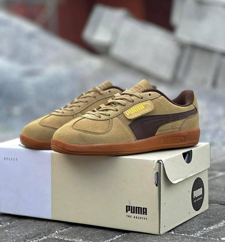 Puma Palermo Chamomile Brown Mushroom