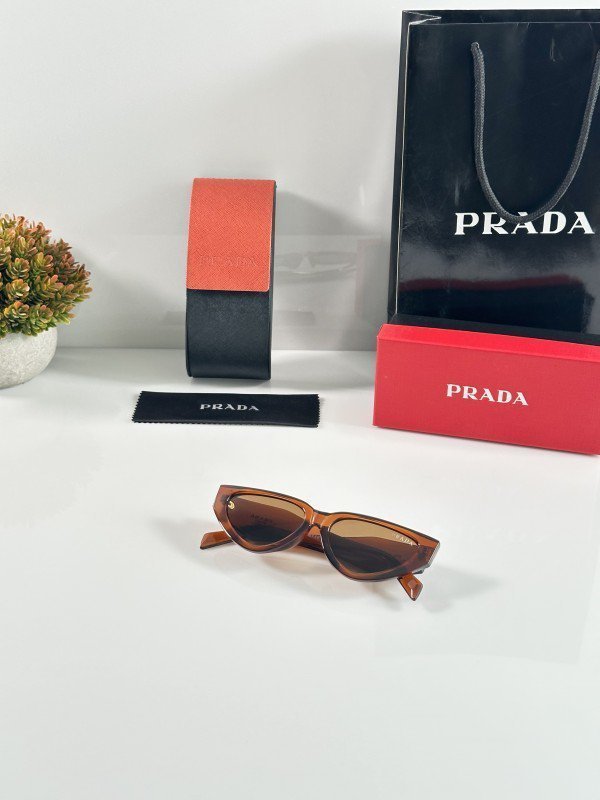 Prada_WMNS_9923_Brown