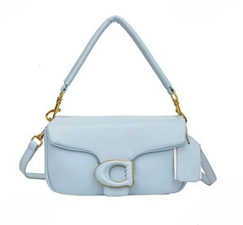 Coach Tabby Pillow 20 Small