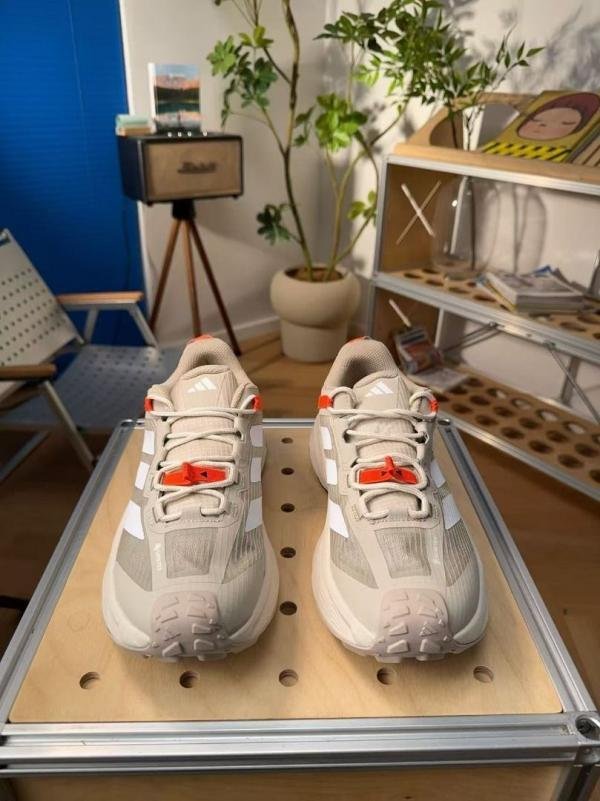 Adidas Terrex Freehiker SL GORE-TEX hiking TOP BATCH UA - Image 3